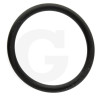 390290 Oring Annovi Reverberi
