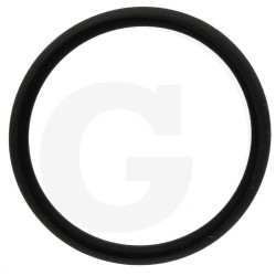 390291 Oring Annovi Reverberi