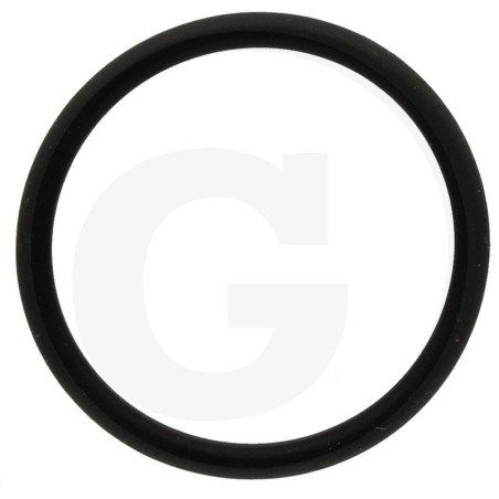 390291 Oring Annovi Reverberi
