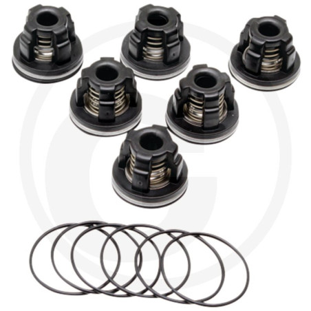42524 Zawór AR 909050 fi 39mm orin 3120230, AR75BP - zestaw 6szt Annovi Reverberi