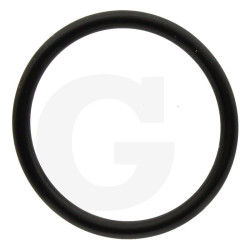 550040 Oring Annovi Reverberi