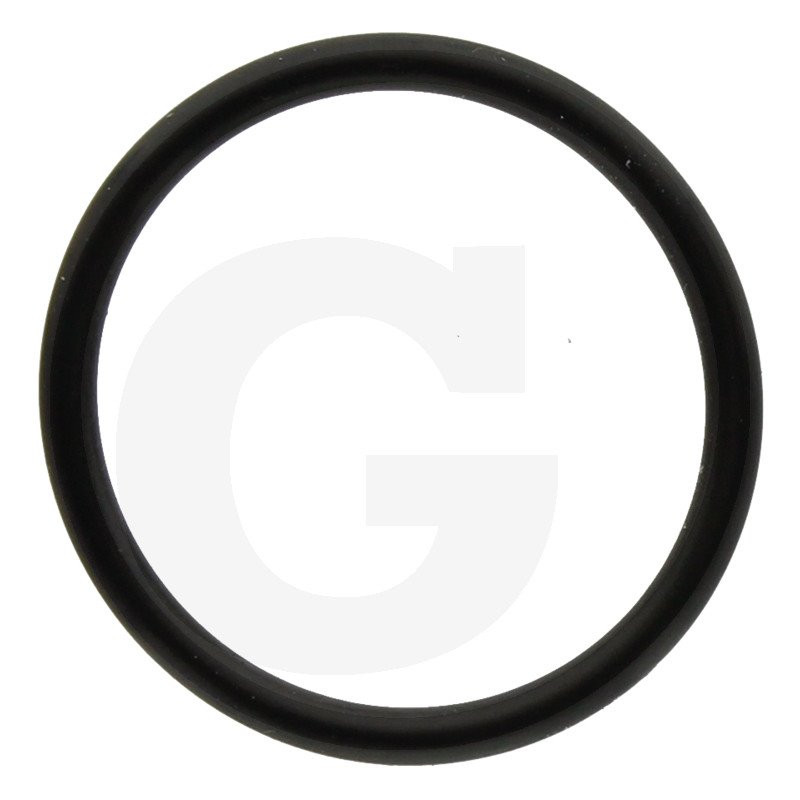 550040 Oring Annovi Reverberi