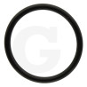 550040 Oring Annovi Reverberi