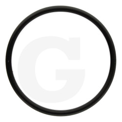 620210 Oring Annovi Reverberi