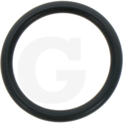 680070 Oring Annovi Reverberi