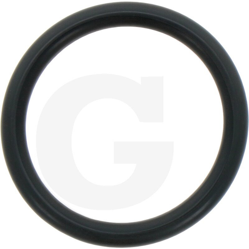 680070 Oring Annovi Reverberi