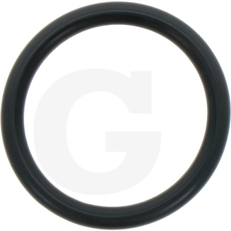 680070 Oring Annovi Reverberi