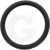 680070 Oring Annovi Reverberi