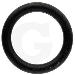 740290 Oring Annovi Reverberi