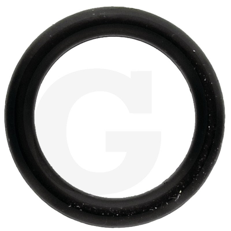 740290 Oring Annovi Reverberi