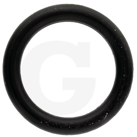 740290 Oring Annovi Reverberi