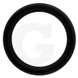 880831 Oring Annovi Reverberi