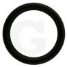 880831 Oring Annovi Reverberi