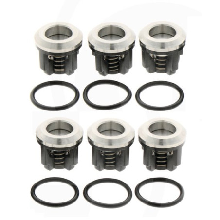 2388 Zawór AR 1889051 fi25mm AR 303 i 403 -zestaw 6szt Annovi Reverberi
