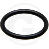 Hardi 241021 Oring