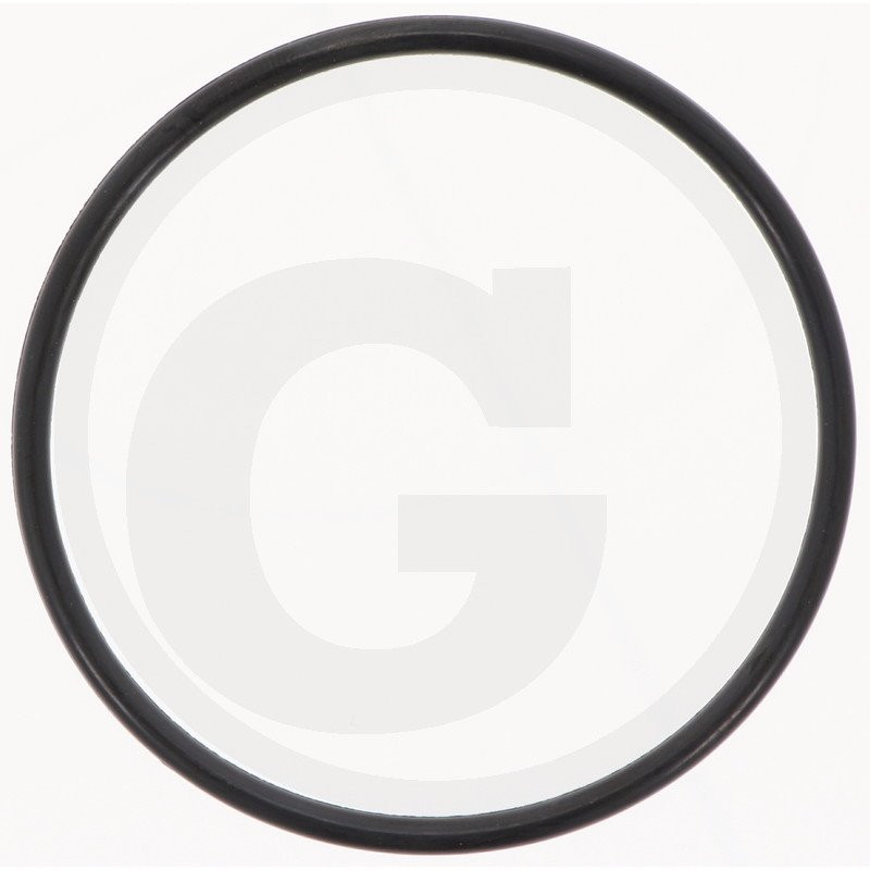 Hardi 241754 Oring