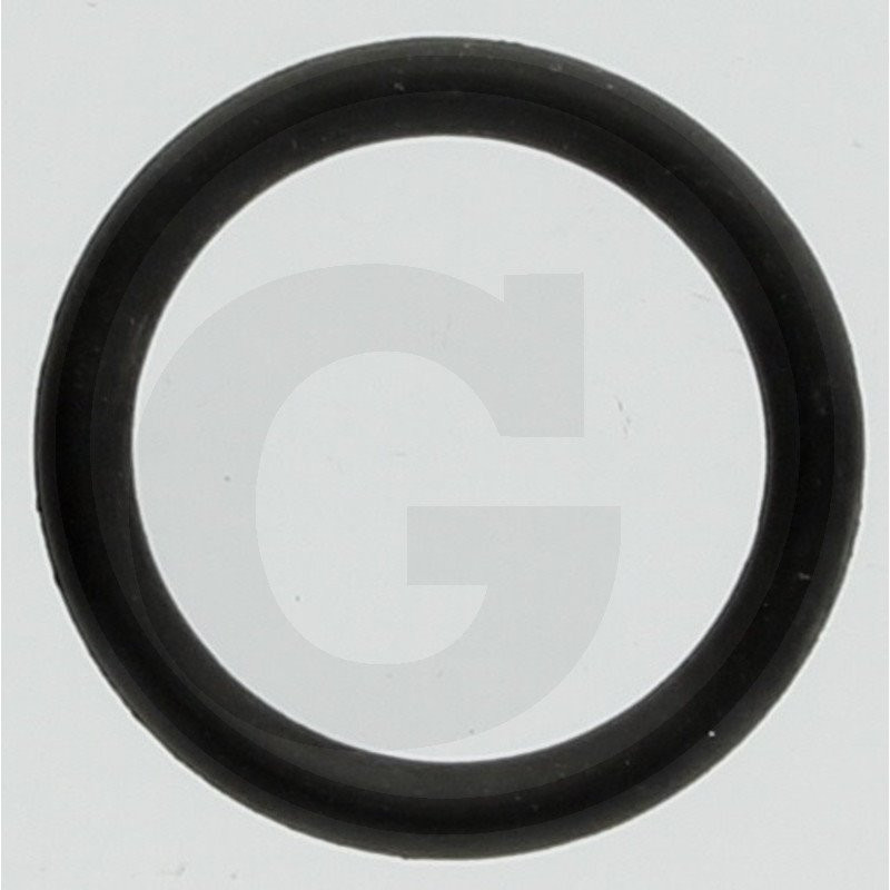 Hardi 241861 Oring