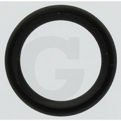 Hardi 241905 Oring