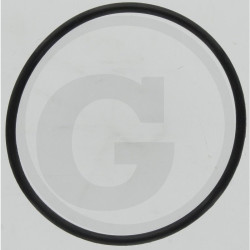 Hardi 241978 Oring