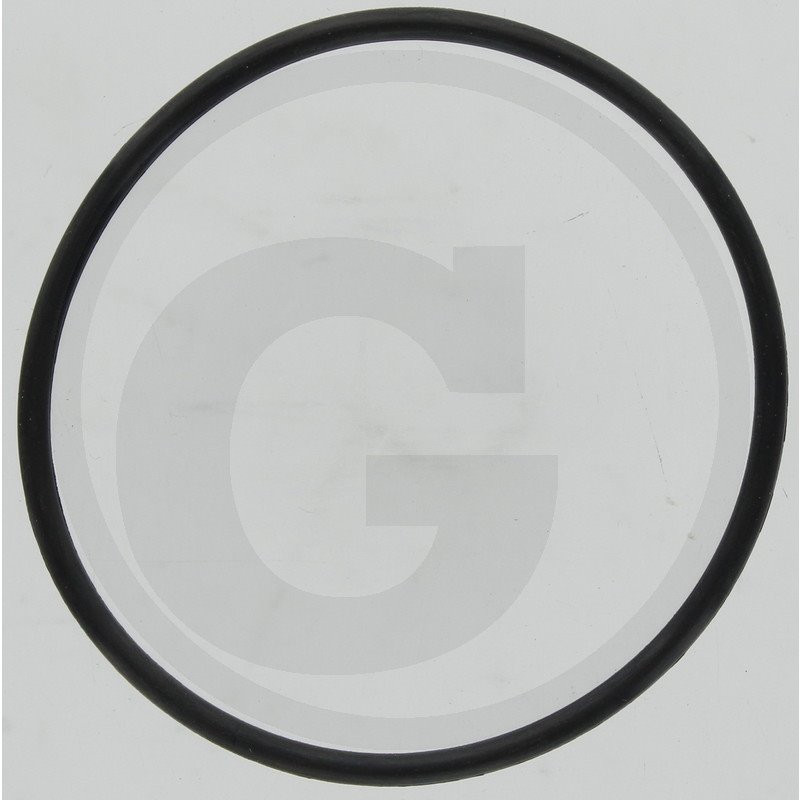 Hardi 241978 Oring