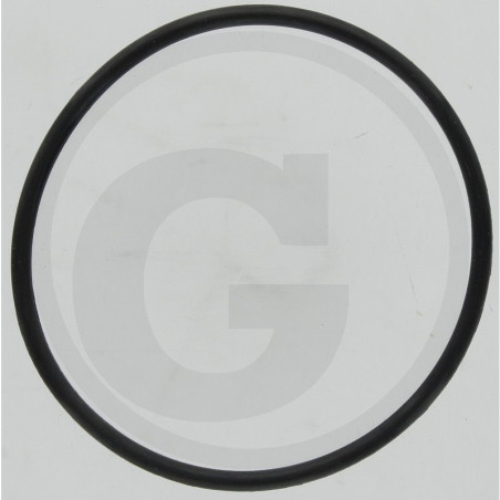 Hardi 241978 Oring