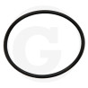 Hardi 242005 Oring