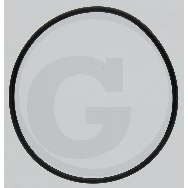 Hardi 242046 Oring