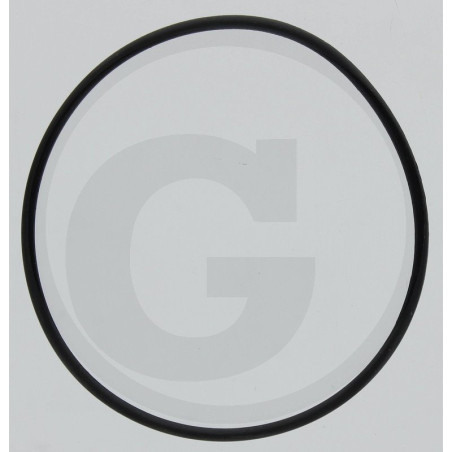 Hardi 242046 Oring