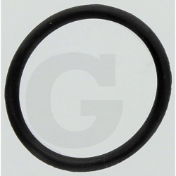 Hardi 242463 Oring