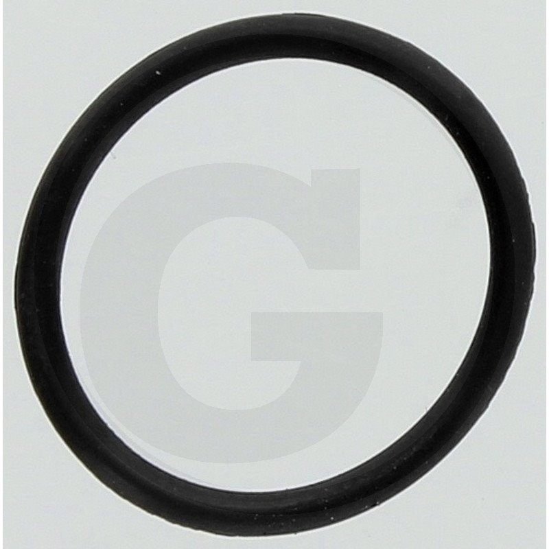 Hardi 242463 Oring