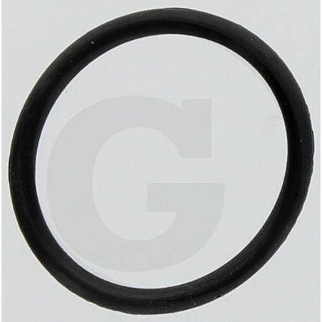 Hardi 242463 Oring