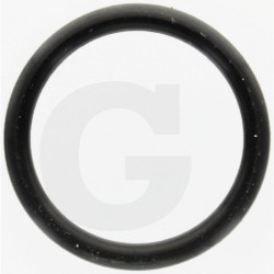 Hardi 24263000 Oring 24,4x3,1 SH70