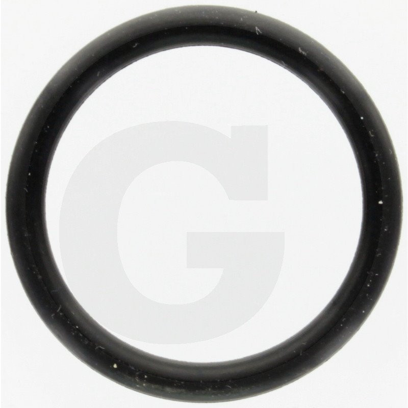 Hardi 24263000 Oring 24,4x3,1 SH70