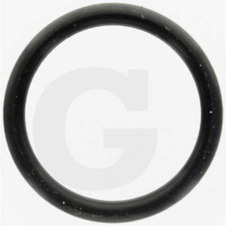 Hardi 24263000 Oring 24,4x3,1 SH70