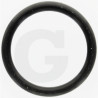 Hardi 24263000 Oring 24,4x3,1 SH70