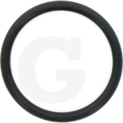 Hardi 24266600 Oring 38x4 70SH.NITR