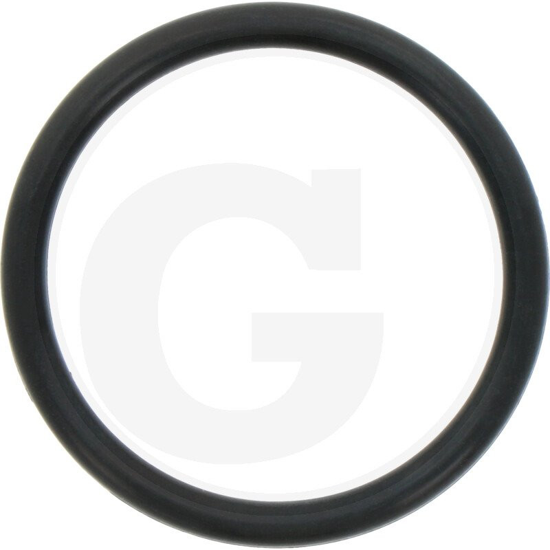 Hardi 24266600 Oring 38x4 70SH.NITR