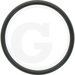 Hardi 24266800 Oring 54x4 70SH.NITR