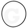 Hardi 240962 Oring