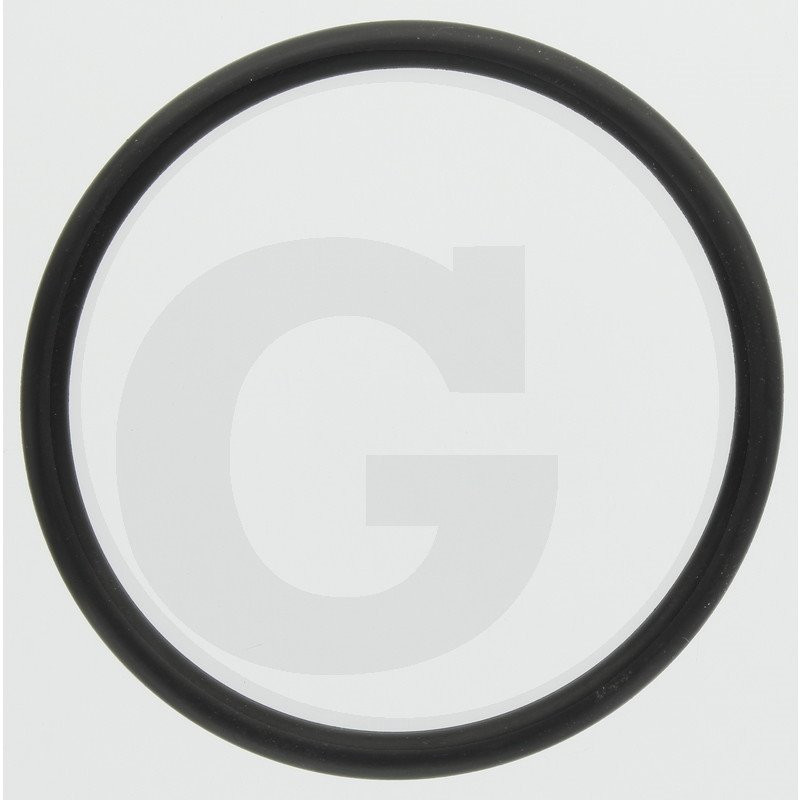 Hardi 241006 O-ring
