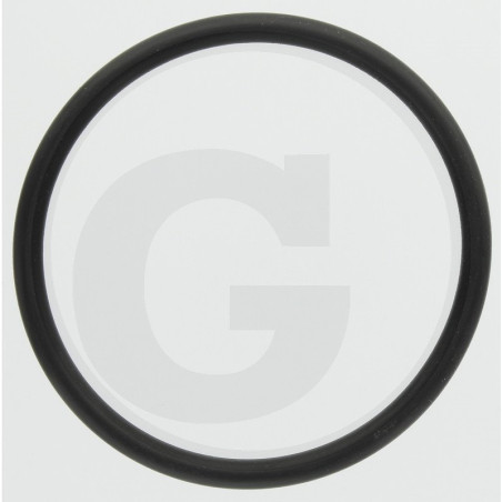 Hardi 241006 O-ring