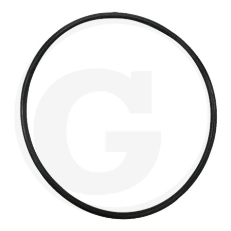 Hardi 241017 Oring