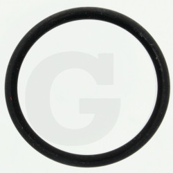 Hardi 242021 O-ring