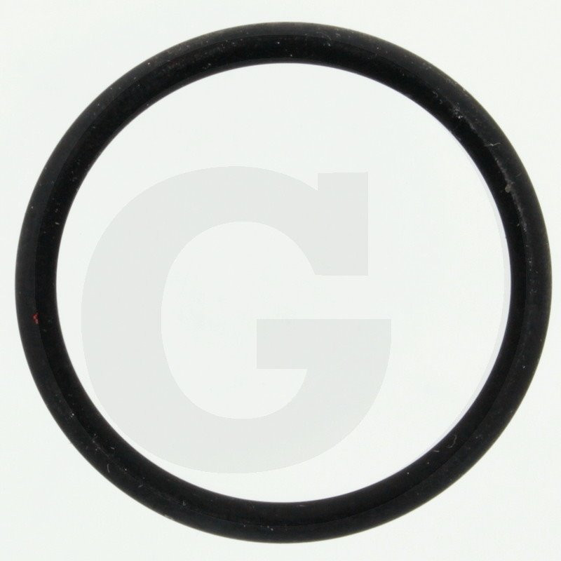 Hardi 242021 O-ring