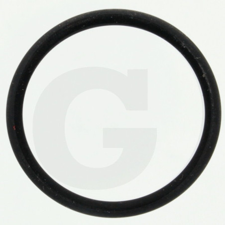 Hardi 242021 O-ring