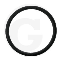 Hardi 242594 Oring