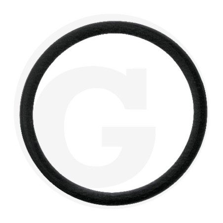 Hardi 242594 Oring