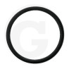 Hardi 242594 Oring