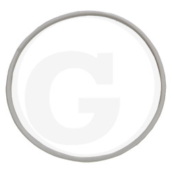 Hardi 332496 Oring