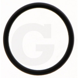 Hardi 241894 O-ring